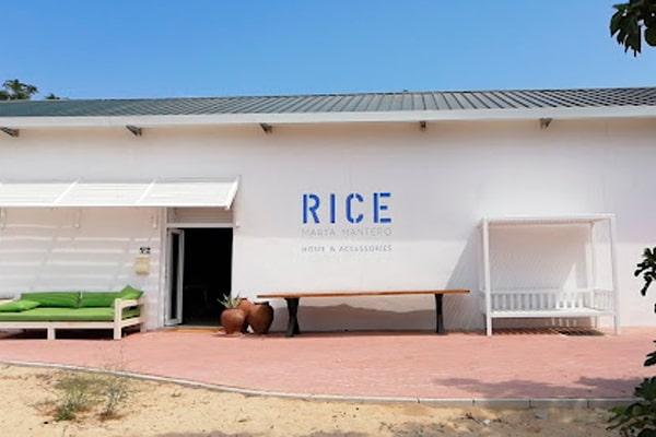 Rice Comporta
